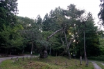 磐椅神社の写真