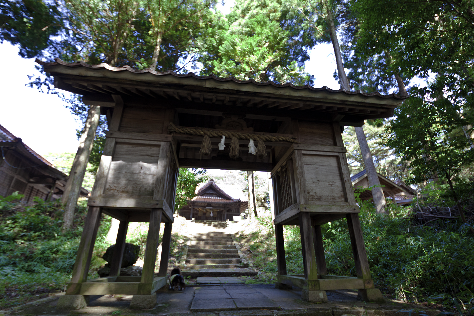 朝山神社の写真