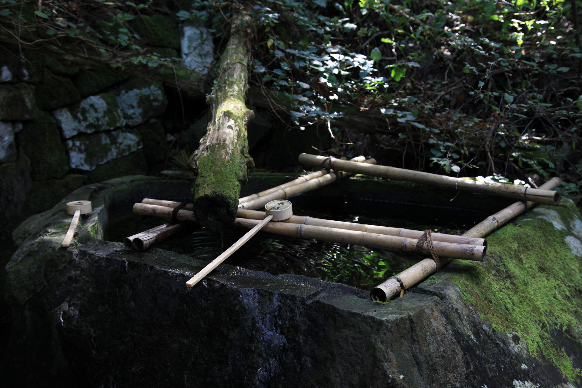 大神山神社奥宮の写真