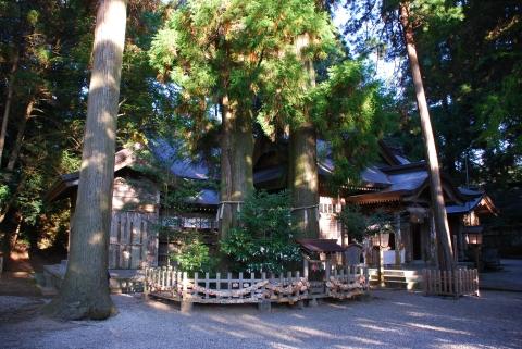 高千穂神社の写真