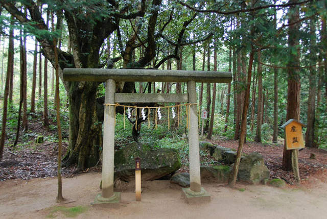 籠神社 奥宮 眞名井神社の写真