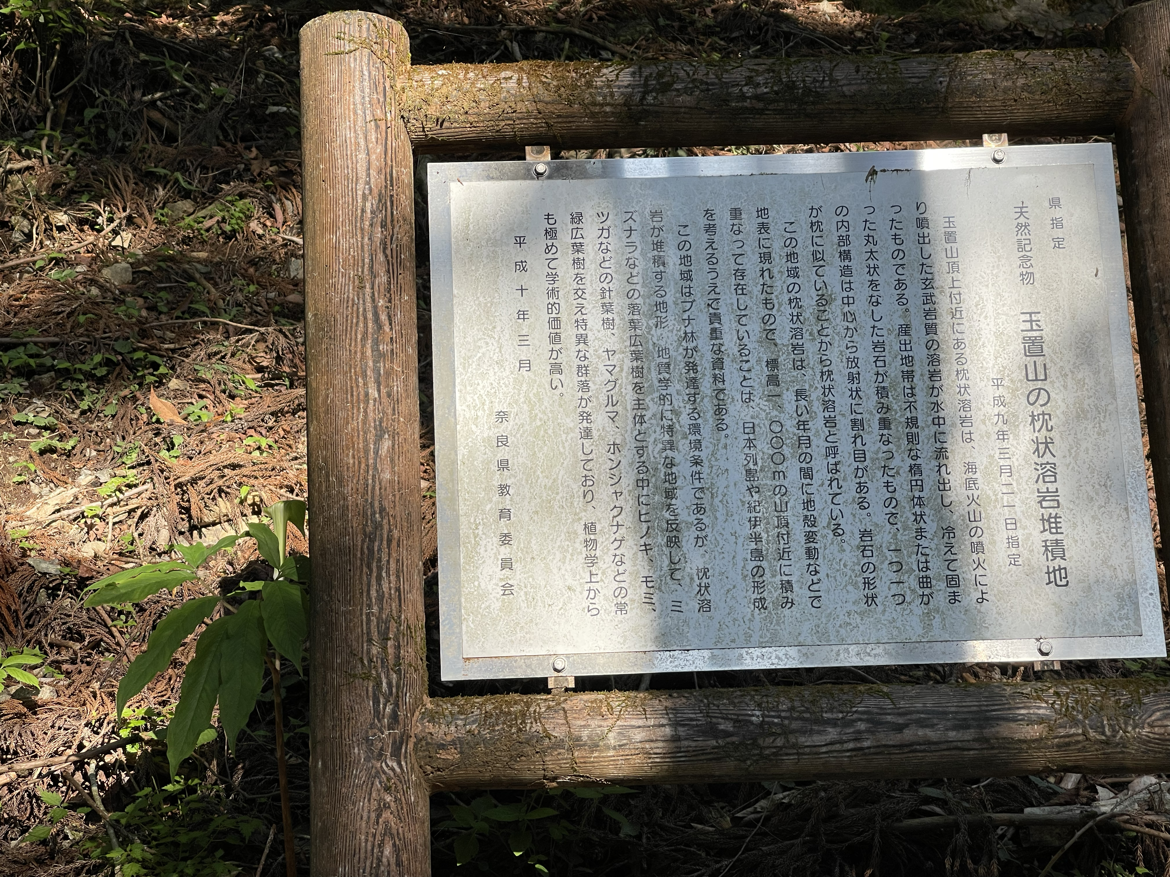 玉置神社の写真
