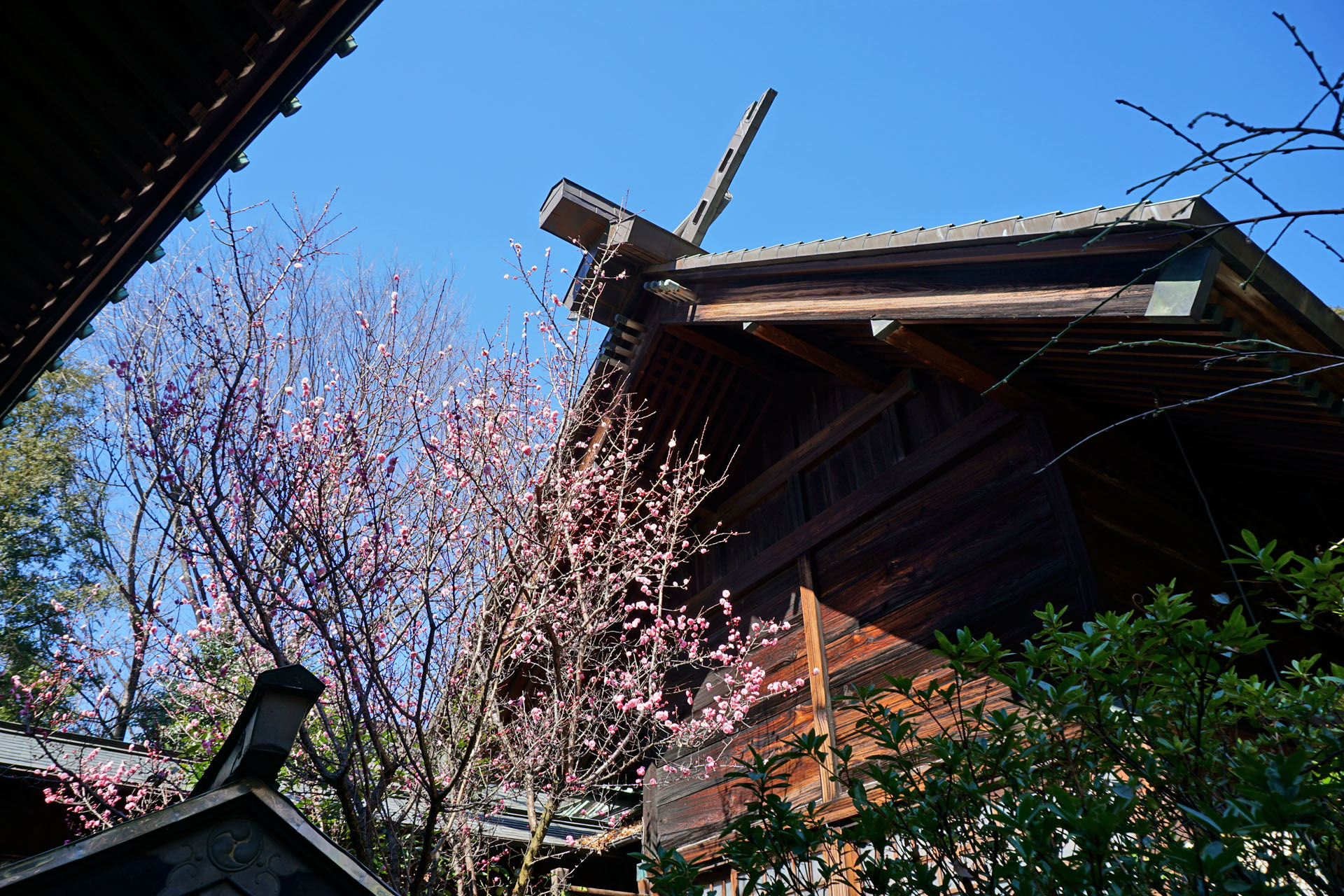 ときわ台天祖神社の写真