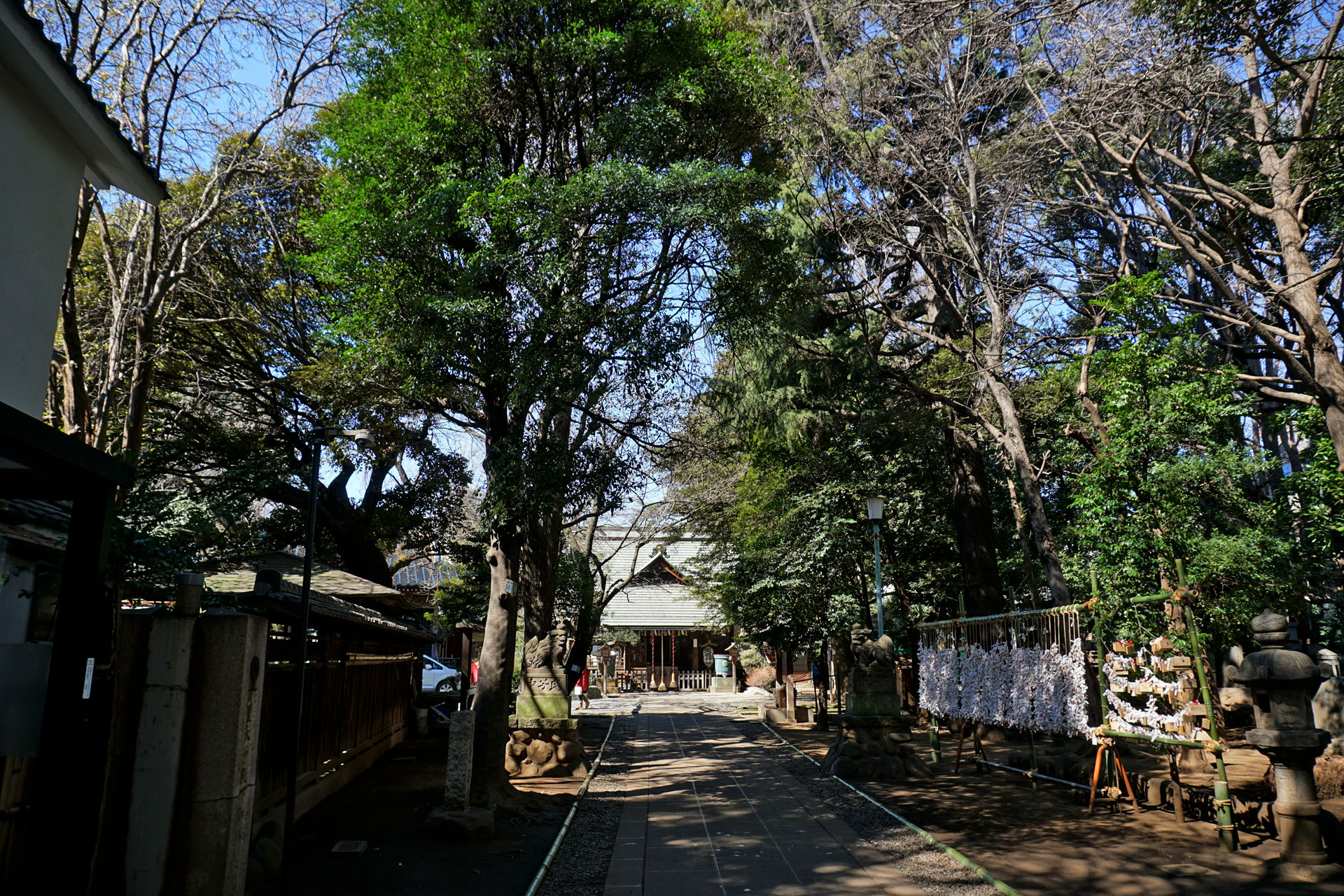 徳丸北野神社の写真