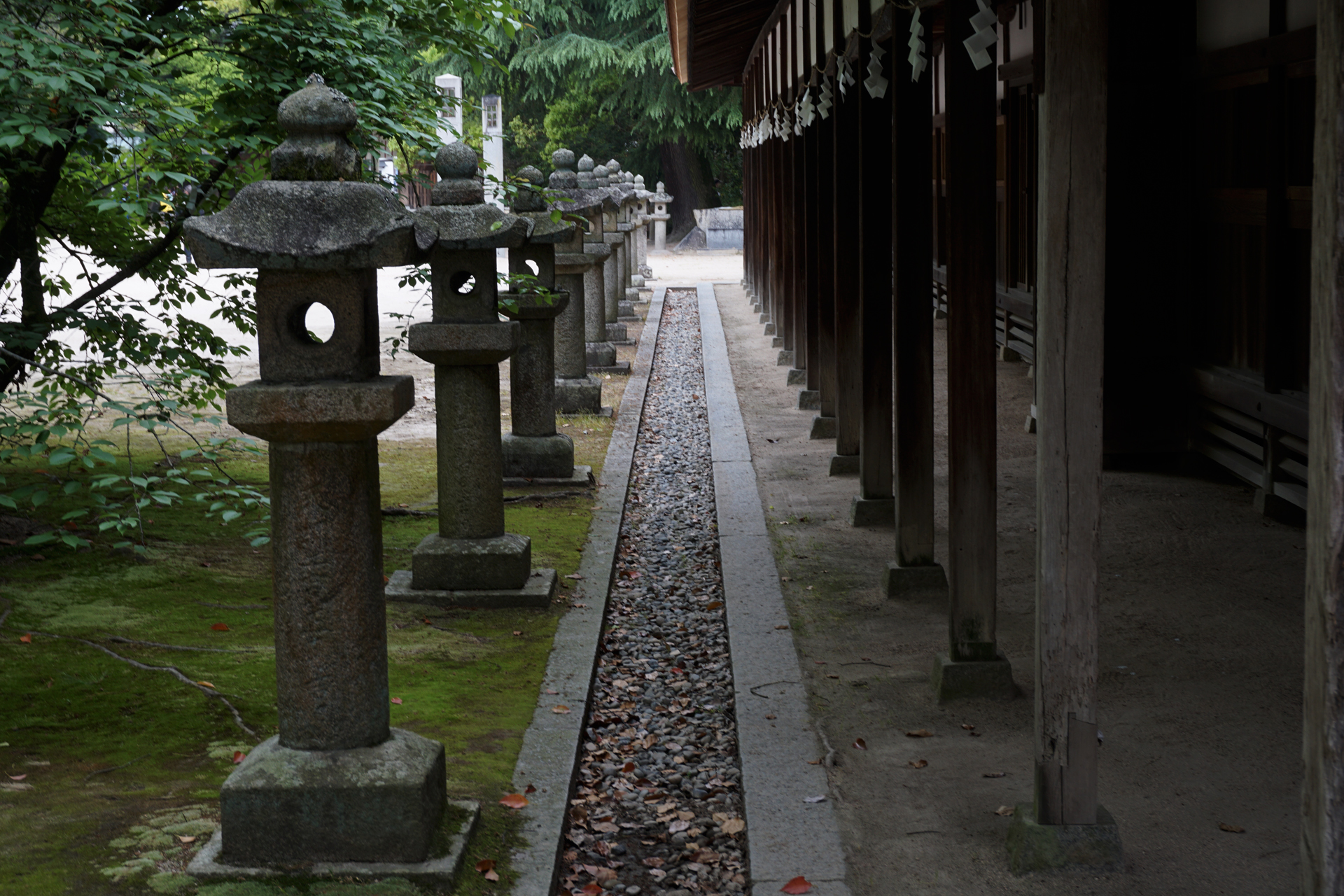 大山祇神社の写真