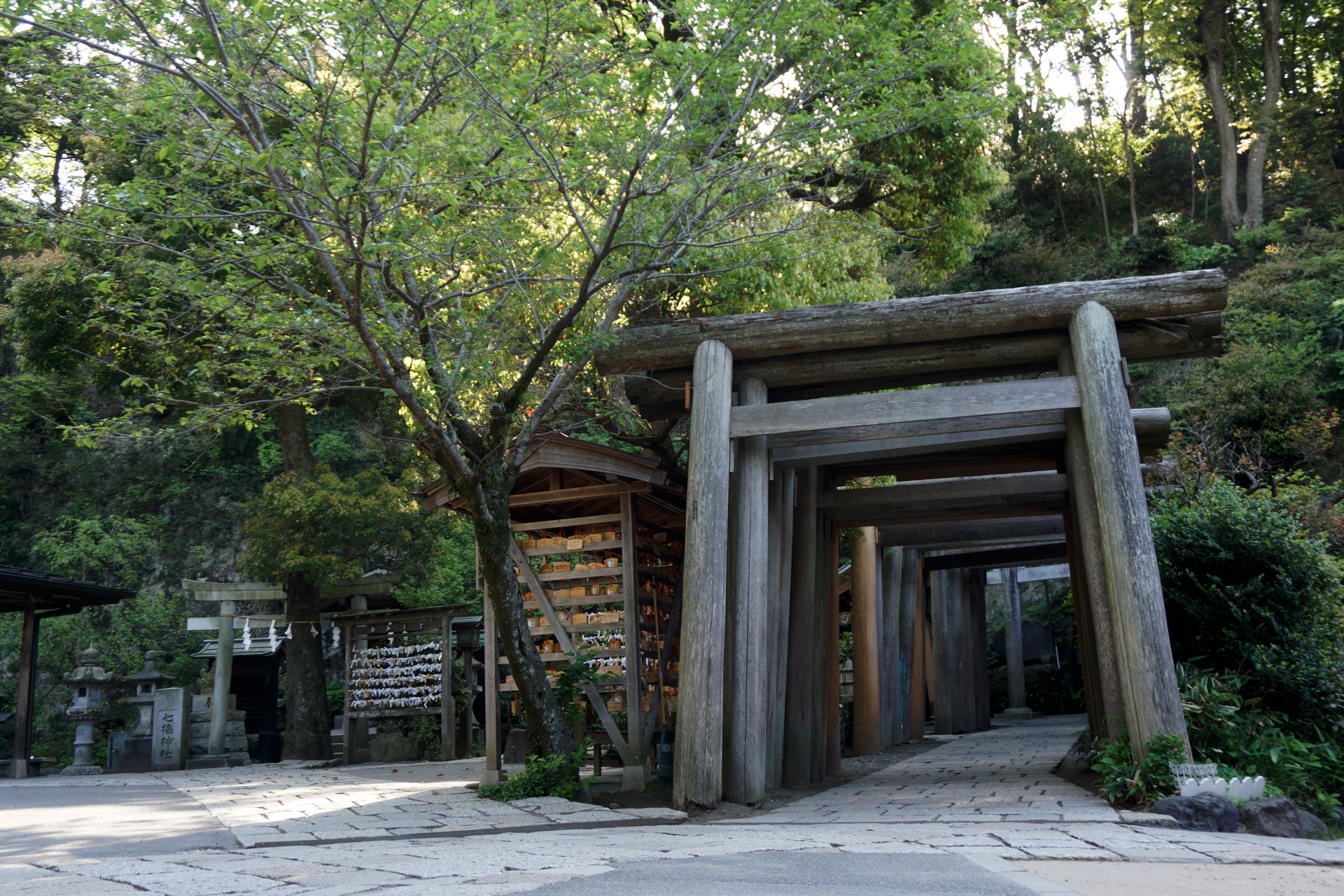 銭洗弁財天宇賀福神社の写真