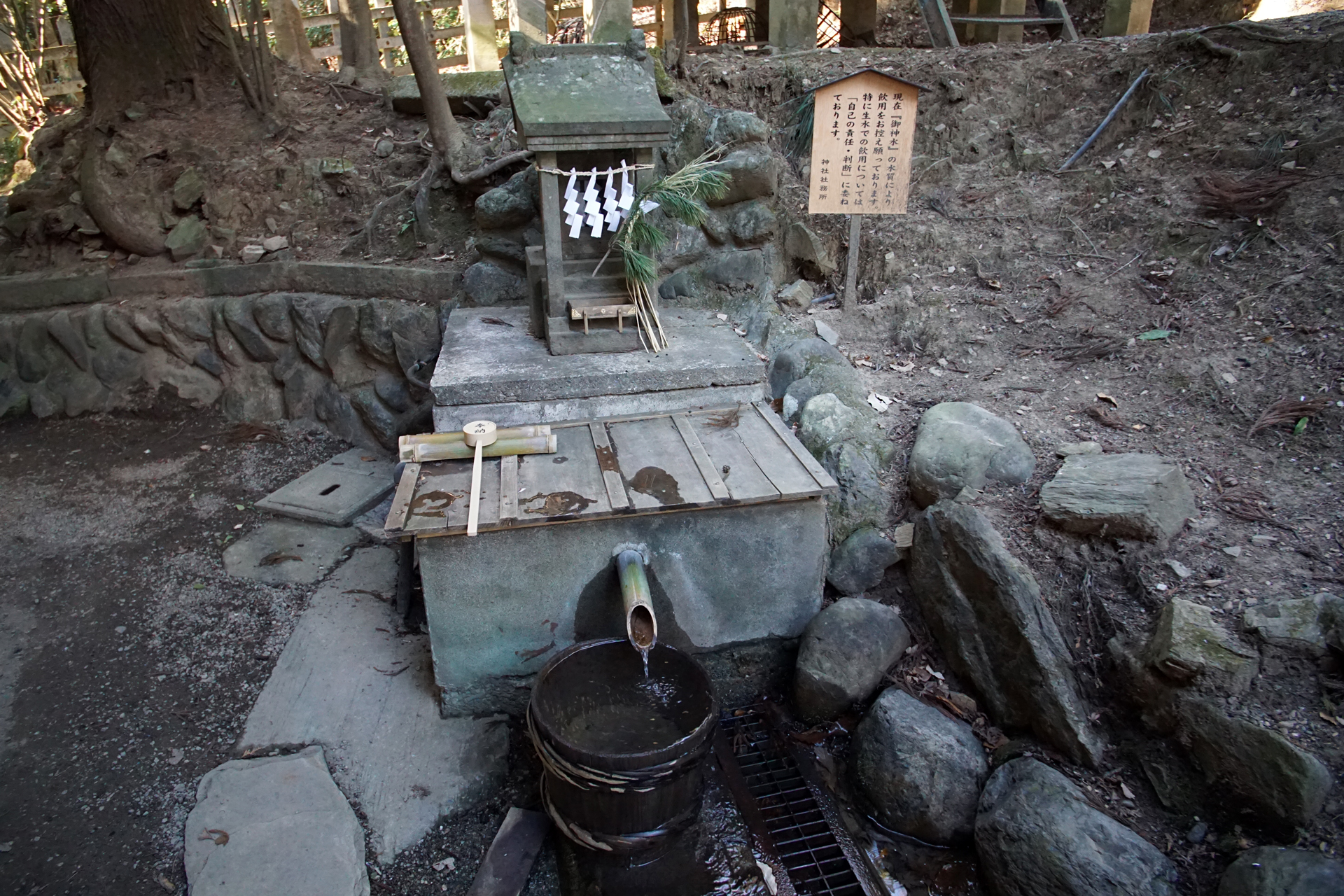 宝登山神社の写真