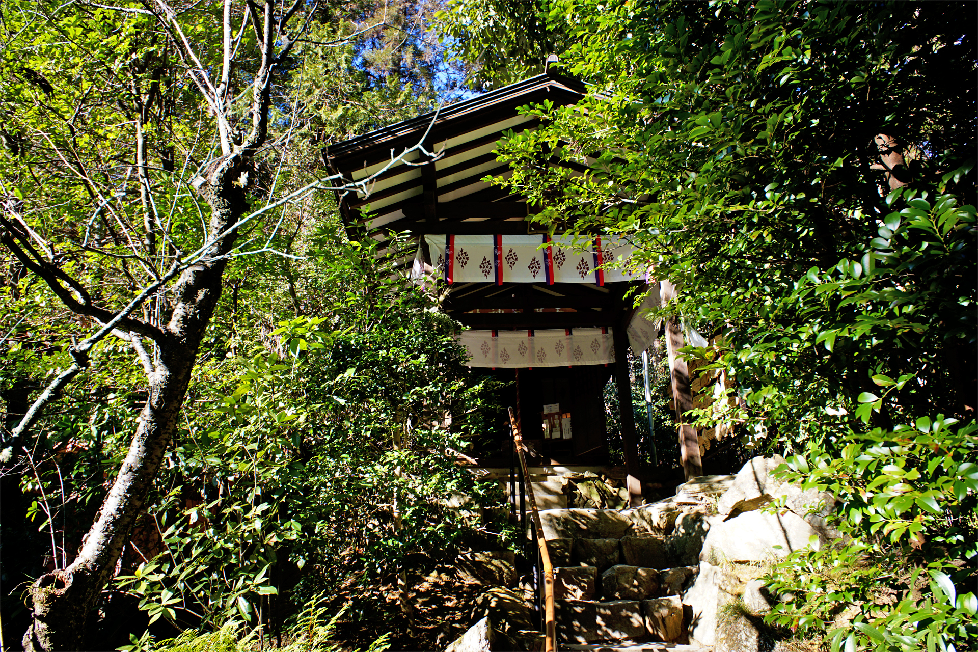 宝登山神社の写真