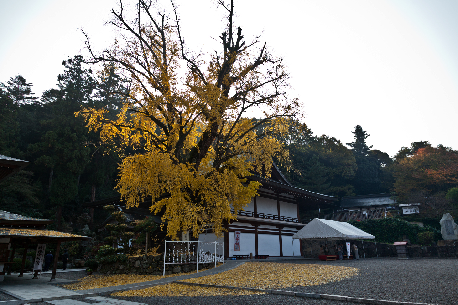 吉備津神社の写真