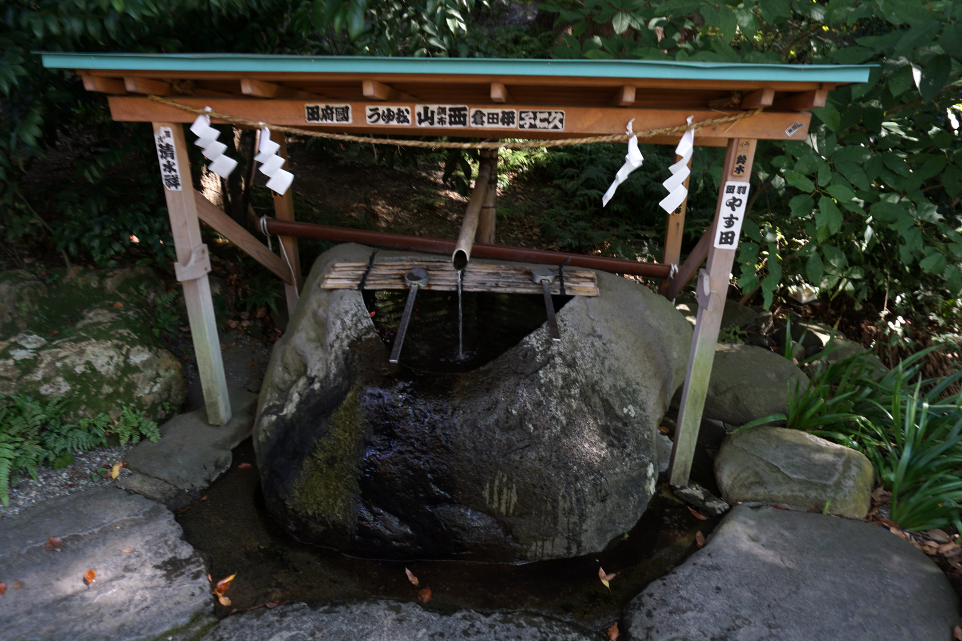 来宮神社の写真
