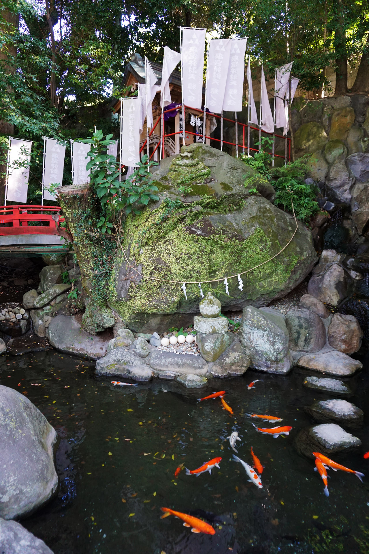 来宮神社の写真