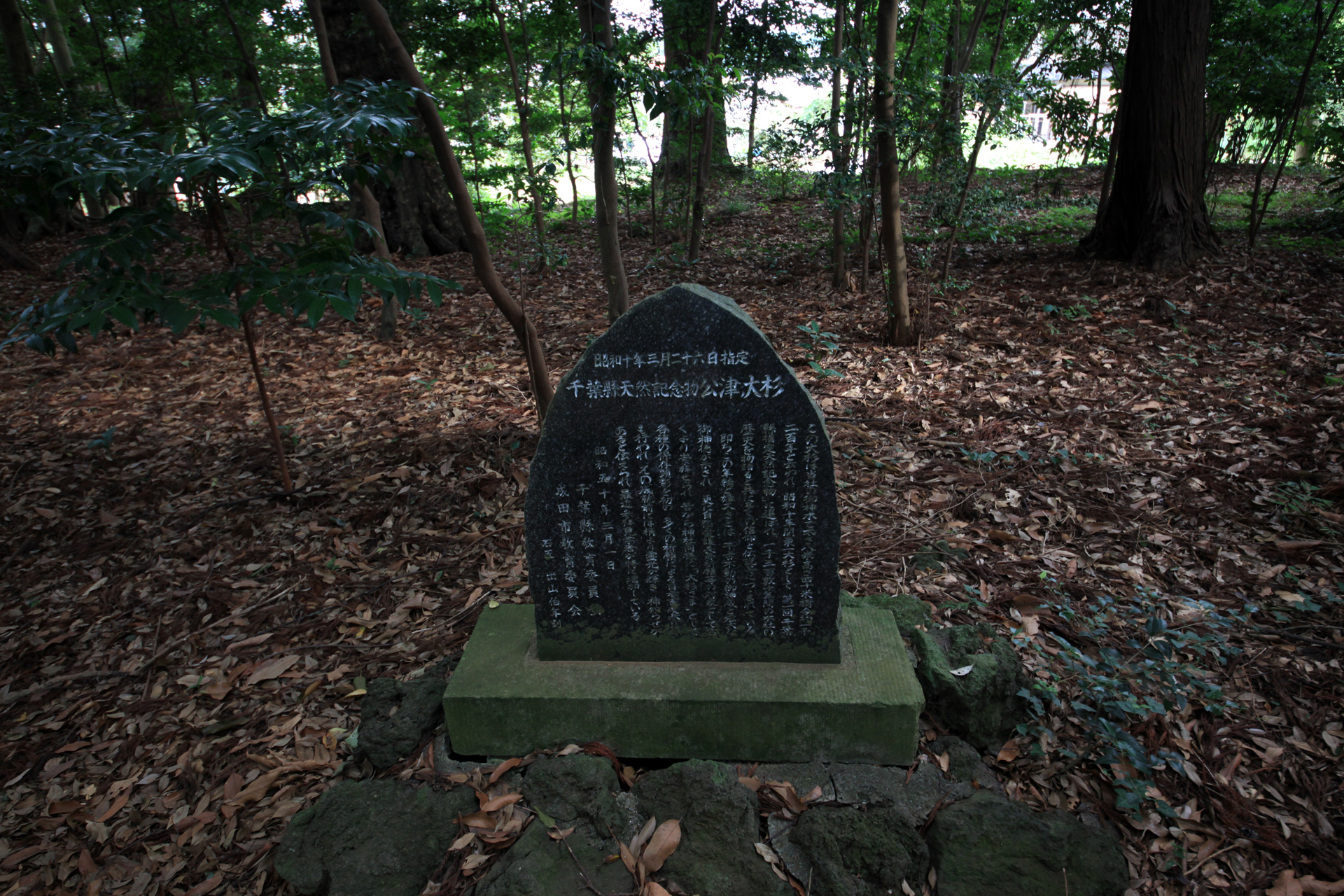 麻賀多神社の写真