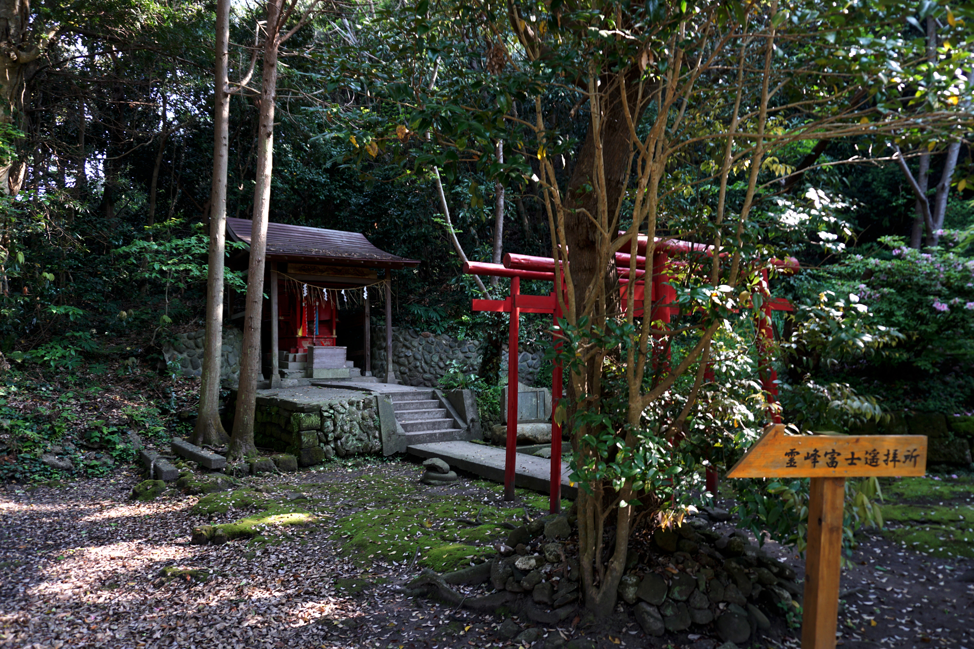 洲崎神社の写真