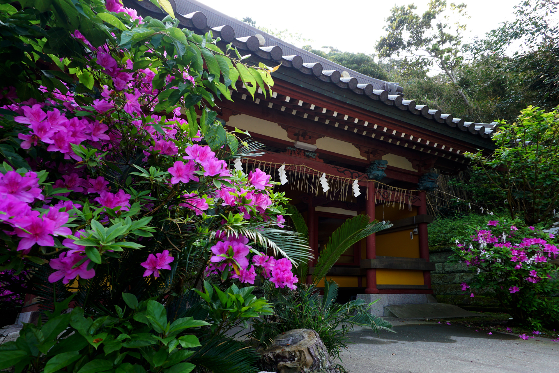 洲崎神社の写真