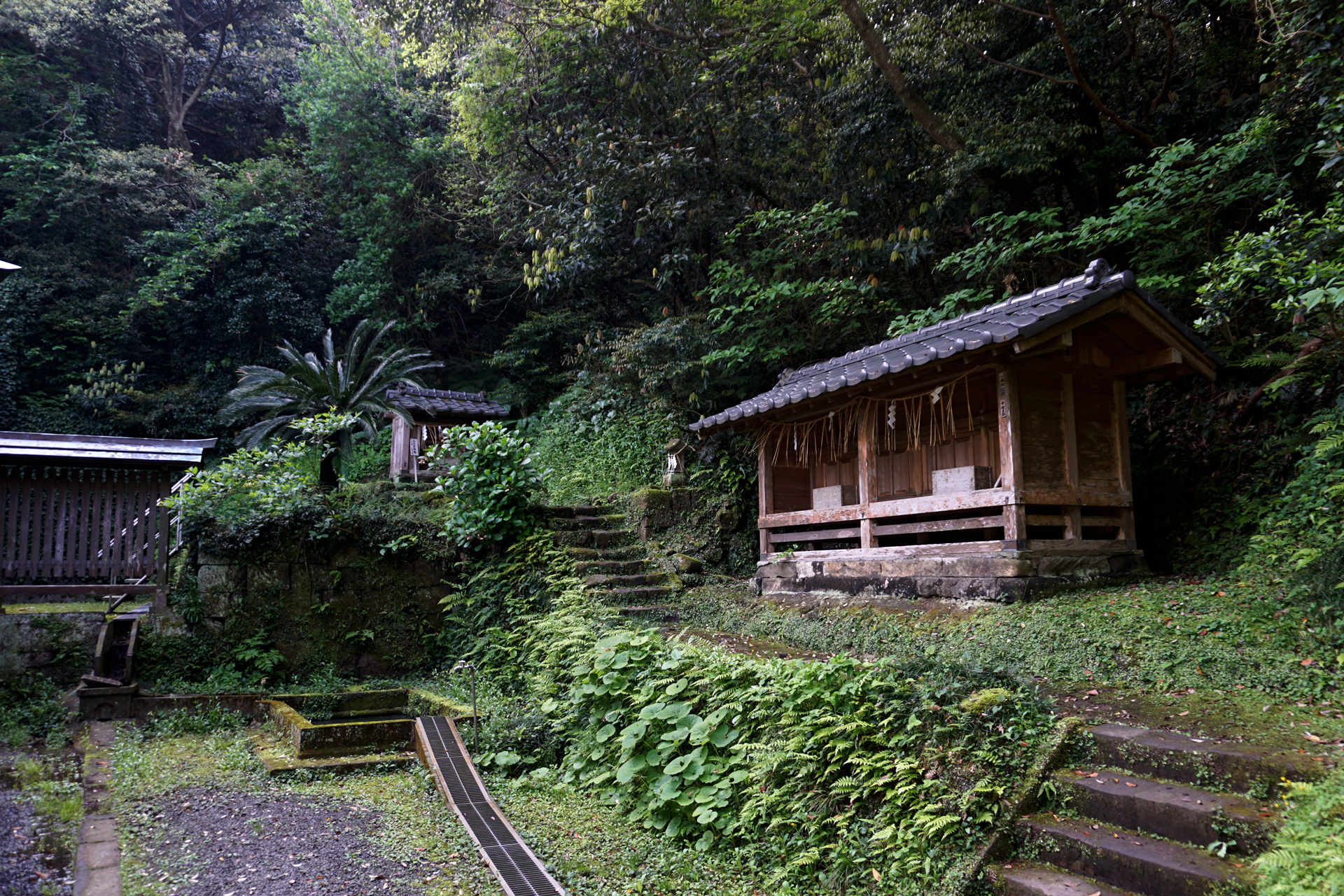 洲崎神社の写真
