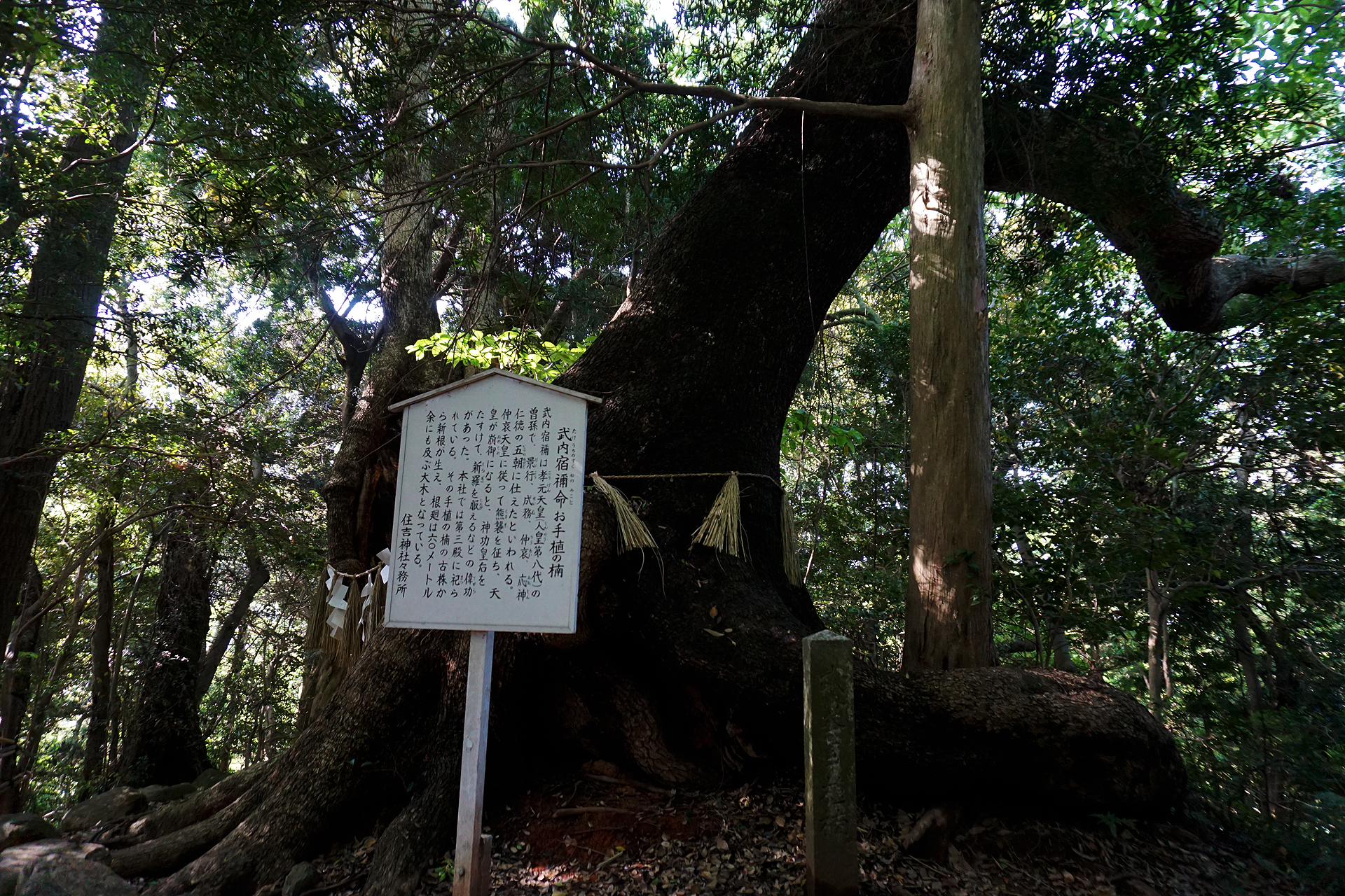 住吉神社 (下関市)の写真
