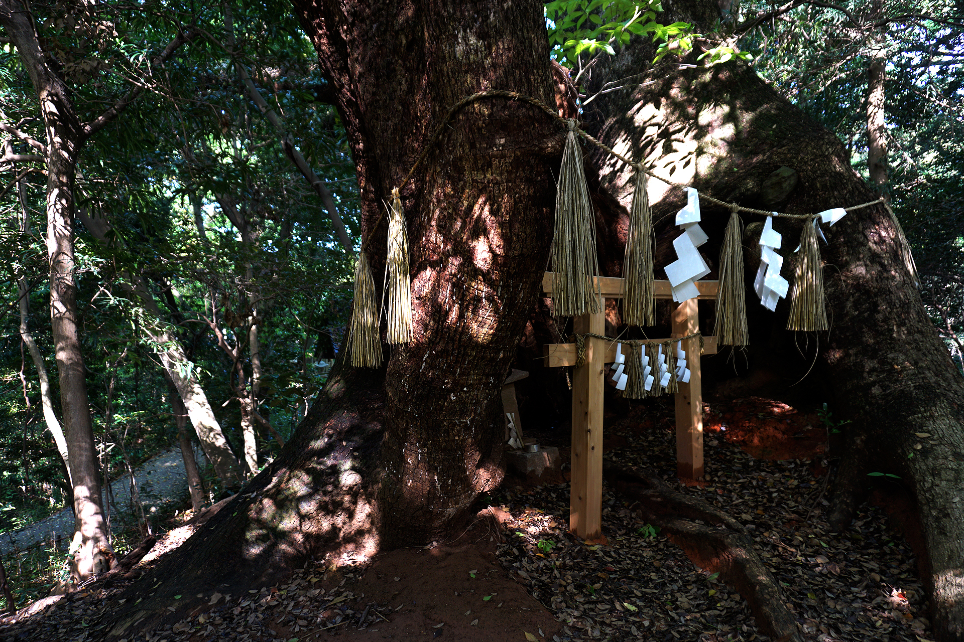 住吉神社 (下関市)の写真