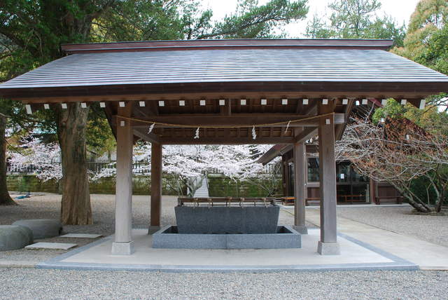 安房神社の写真