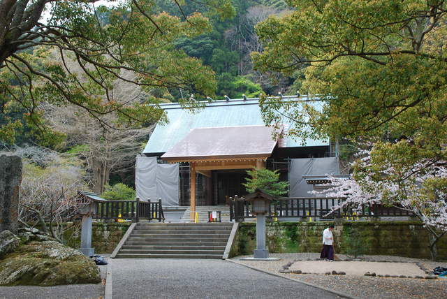 安房神社の写真