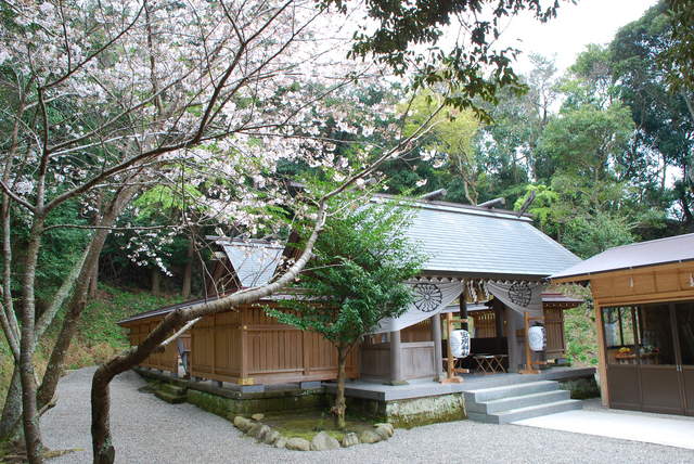 安房神社の写真