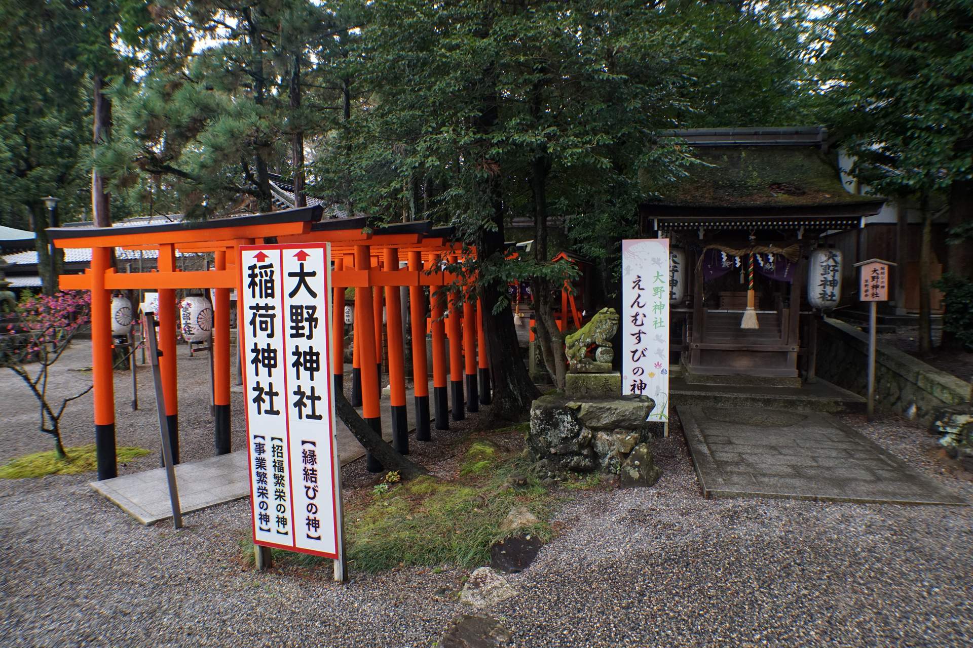 建部大社の写真