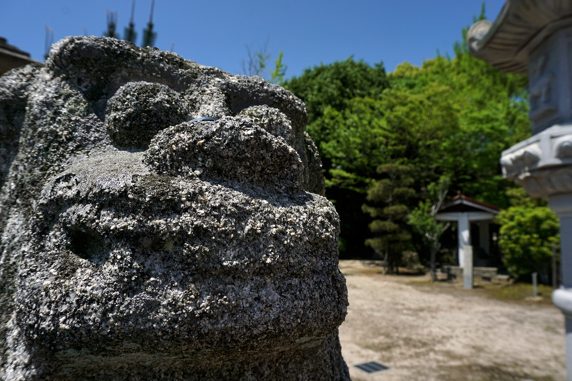 玉祖神社の写真