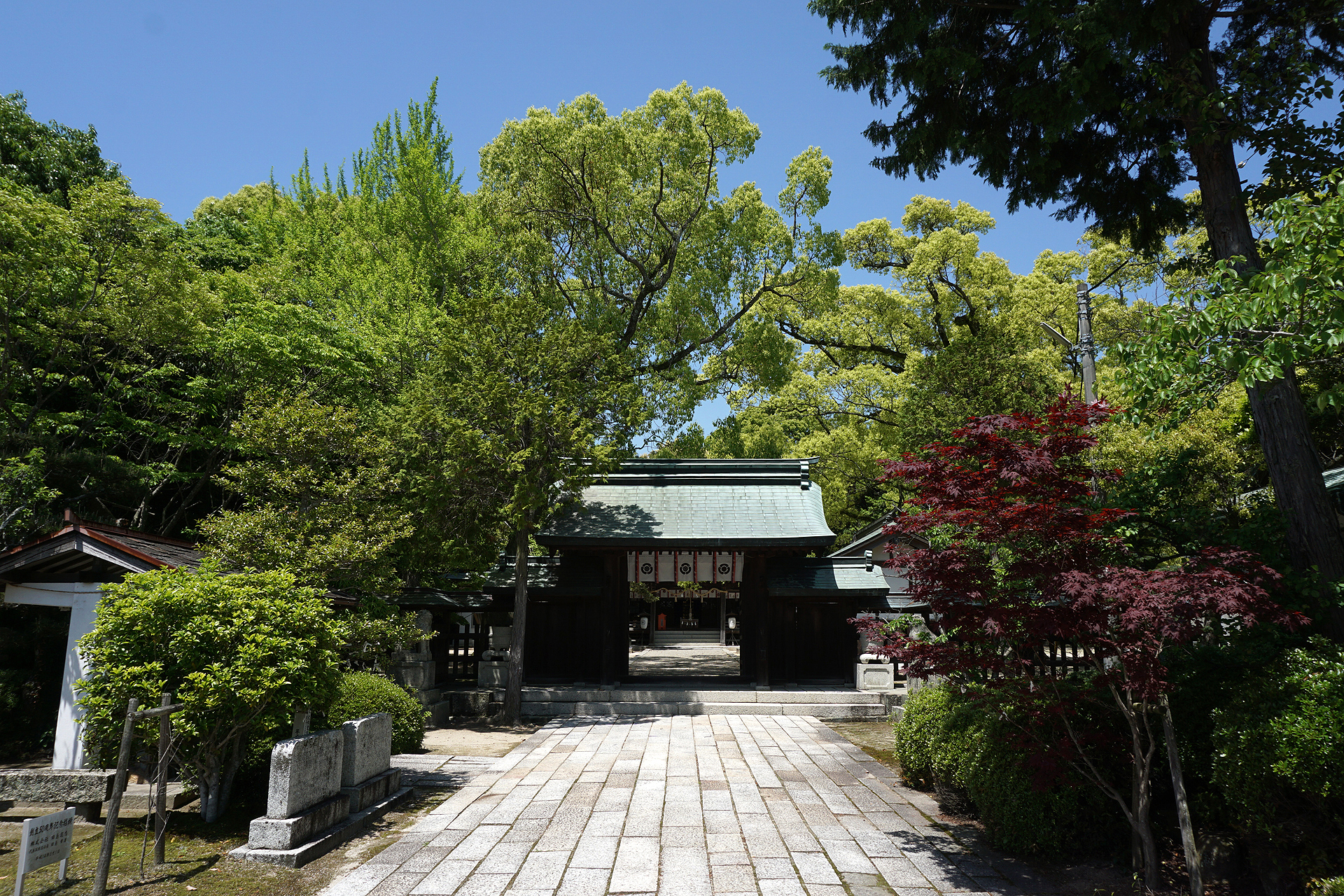 玉祖神社の写真