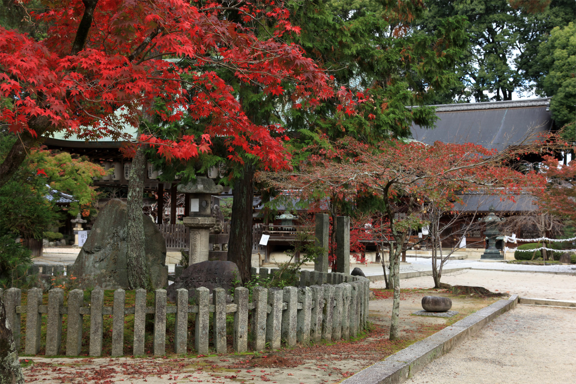 今宮神社の写真