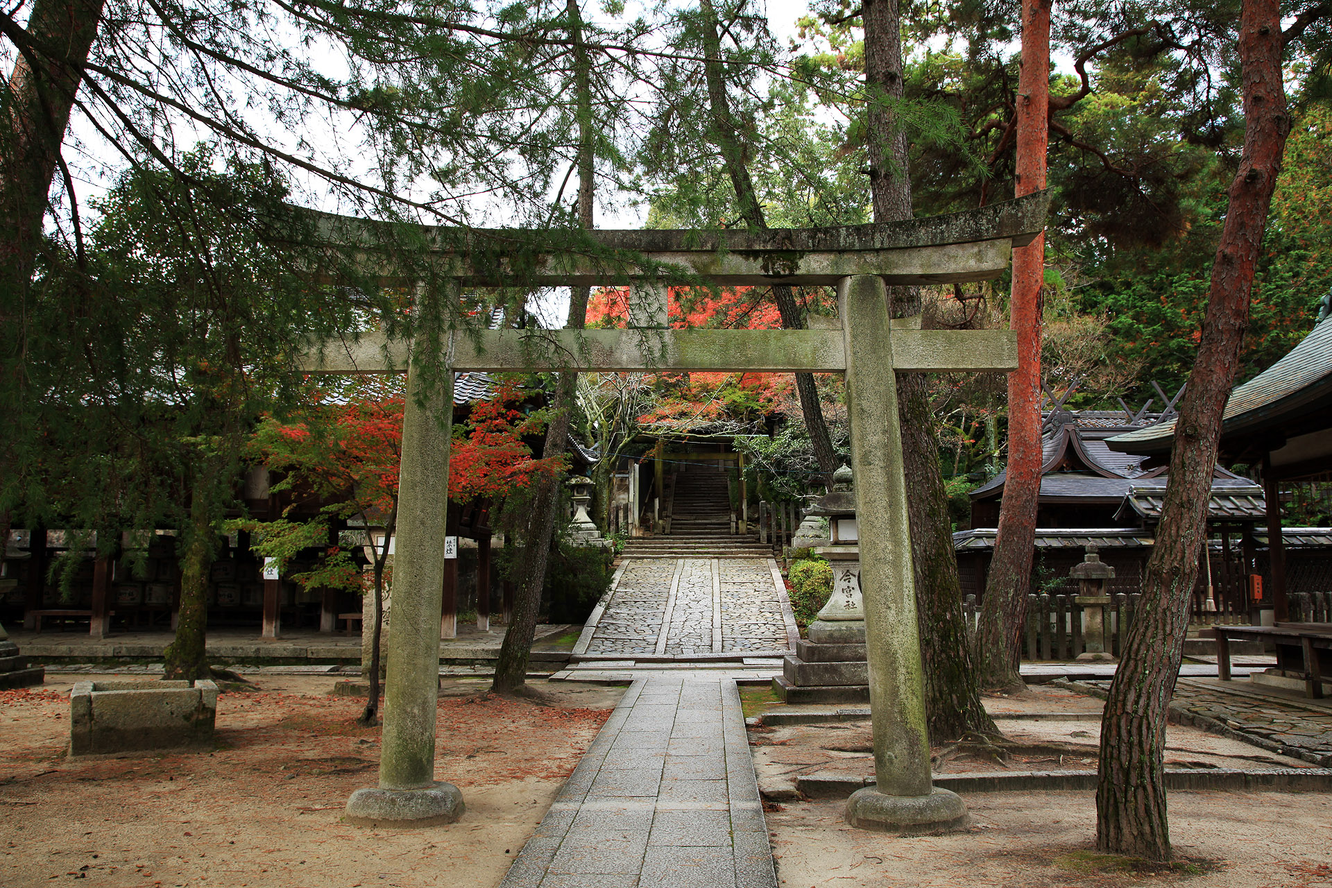 今宮神社の写真