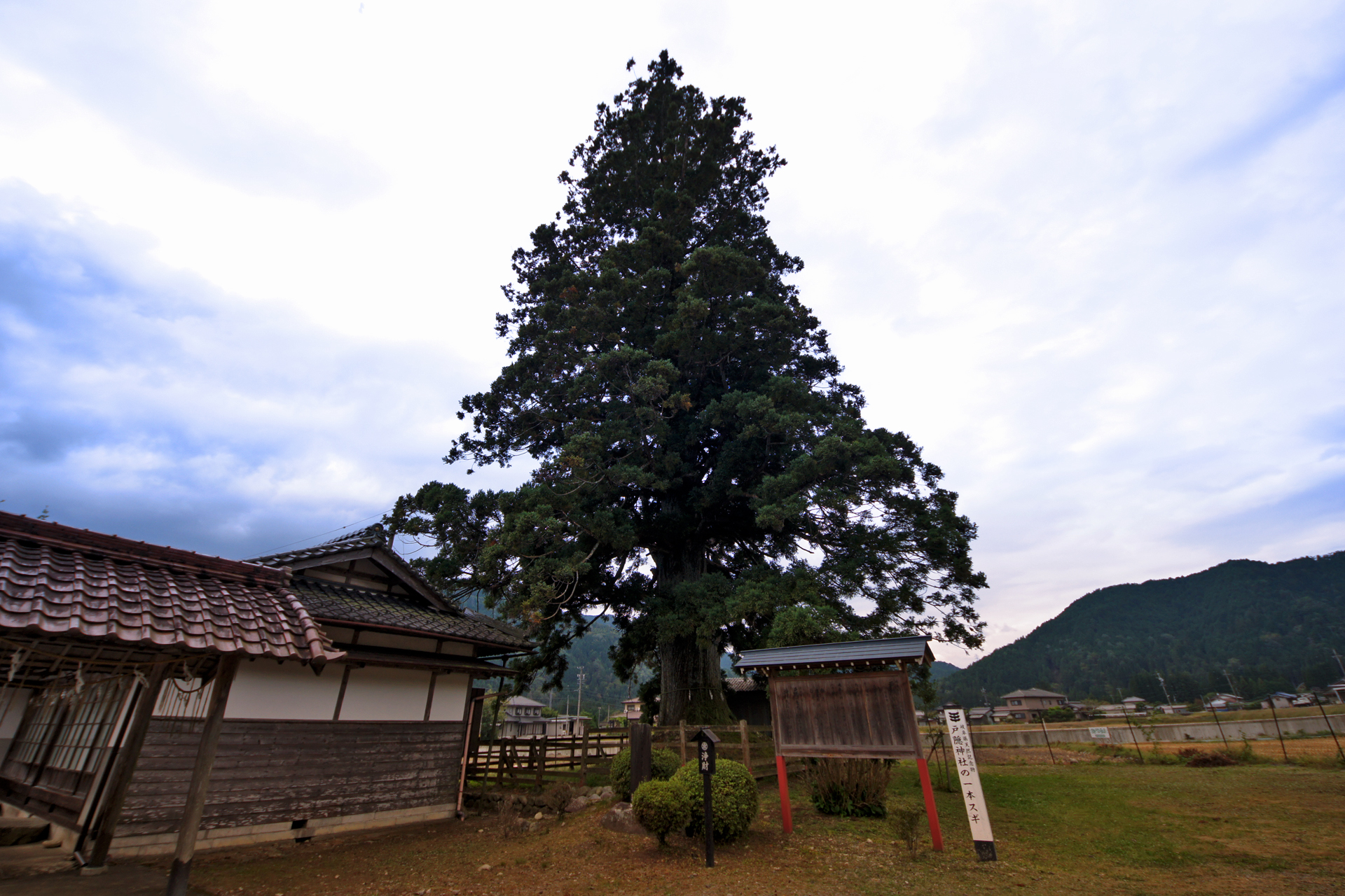 戸隠神社の写真