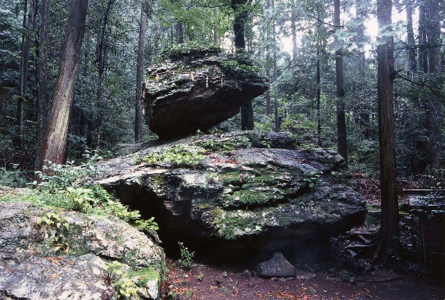戸隠神社の写真