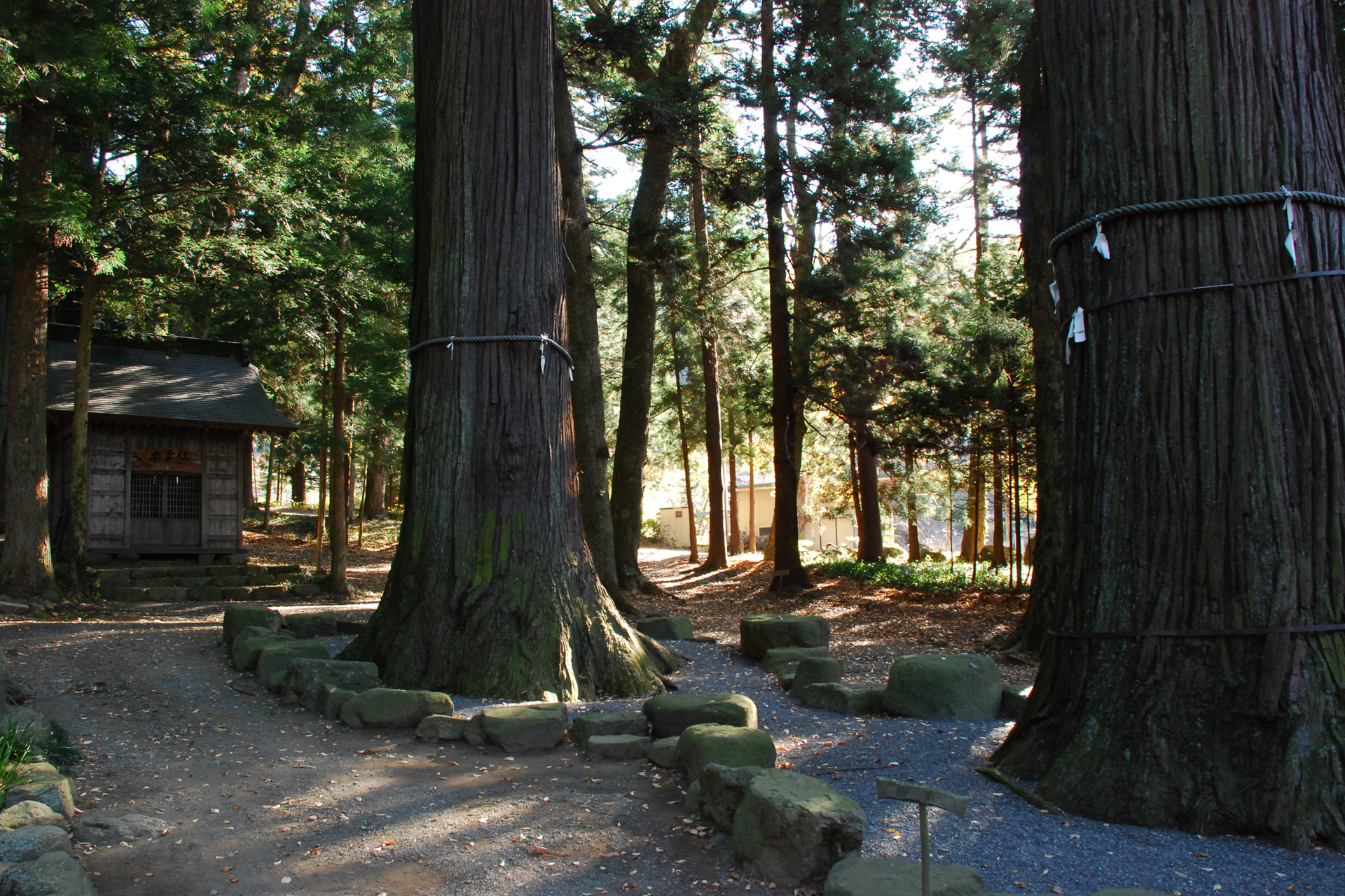 河口浅間神社の写真