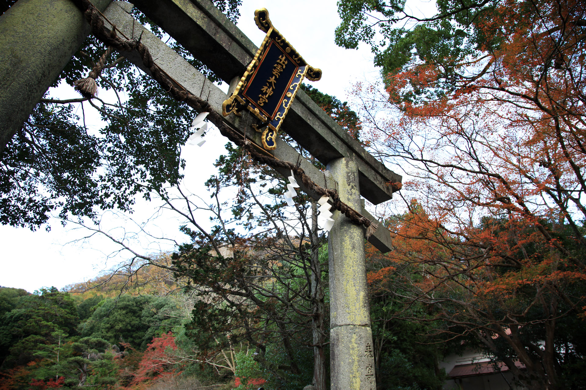 出雲大神宮の写真