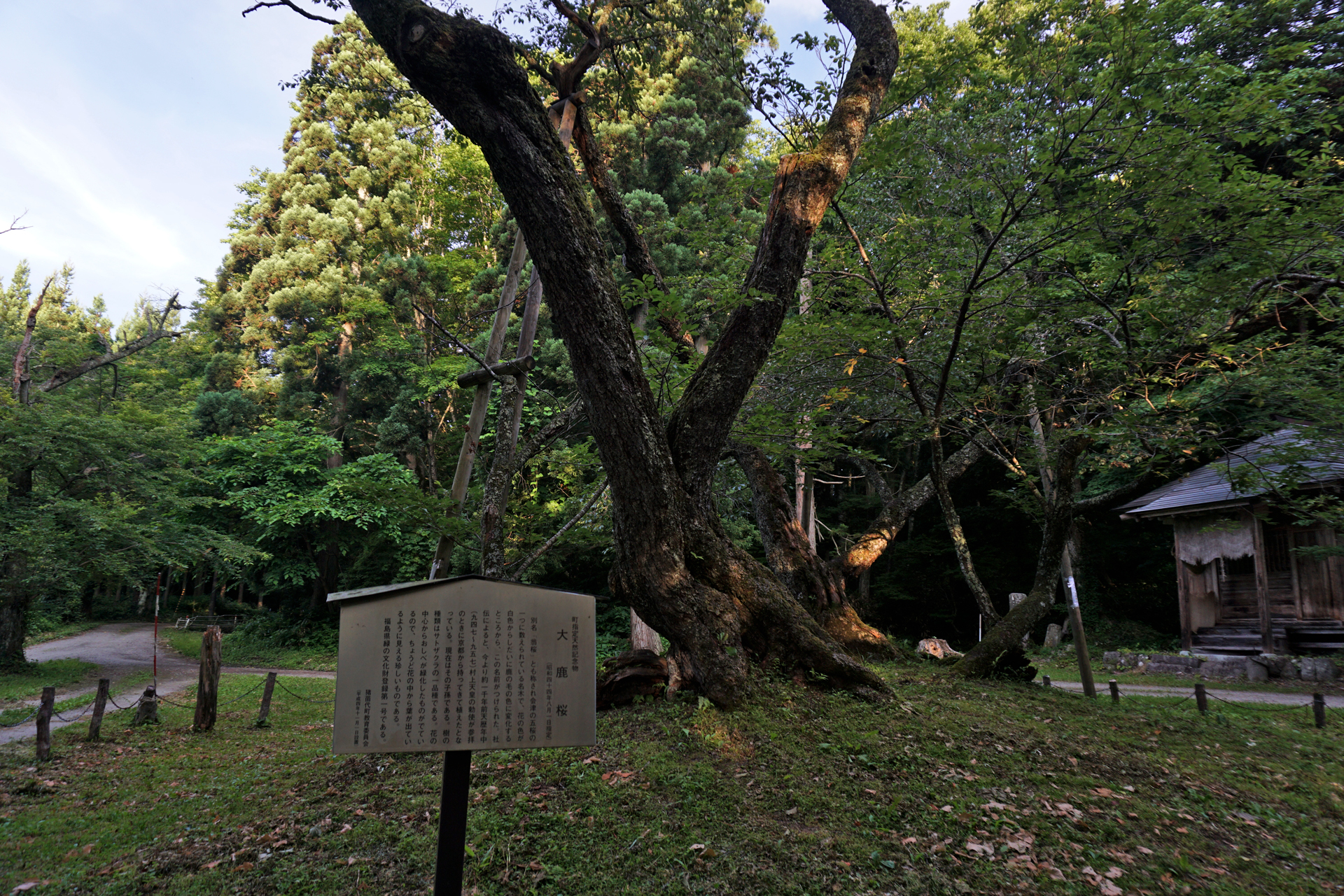 磐椅神社の写真