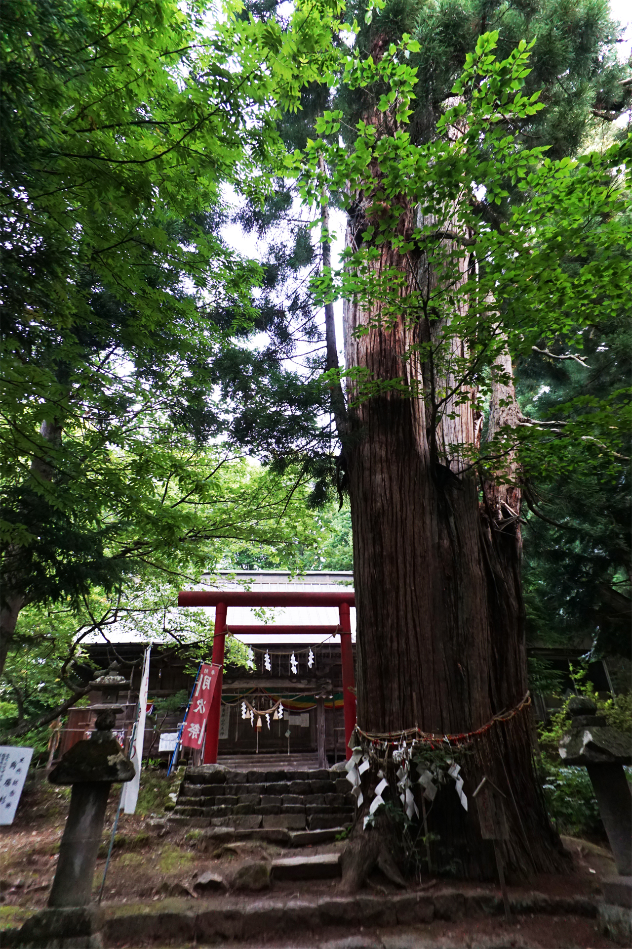 磐椅神社の写真