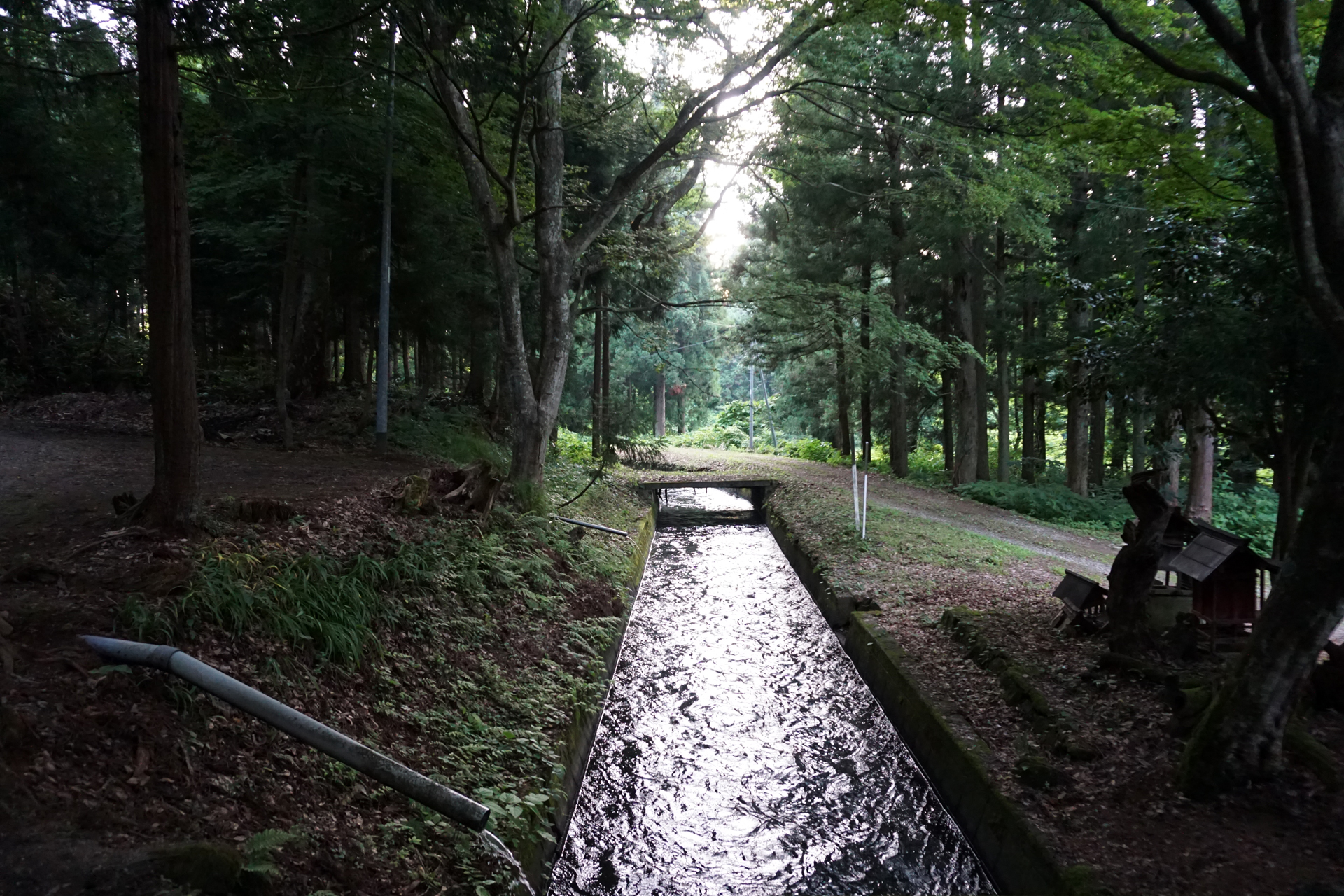 磐椅神社の写真