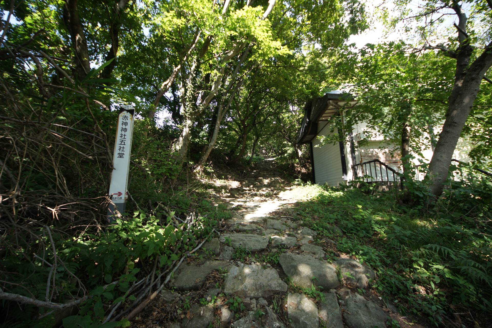 赤神神社　五社堂の写真