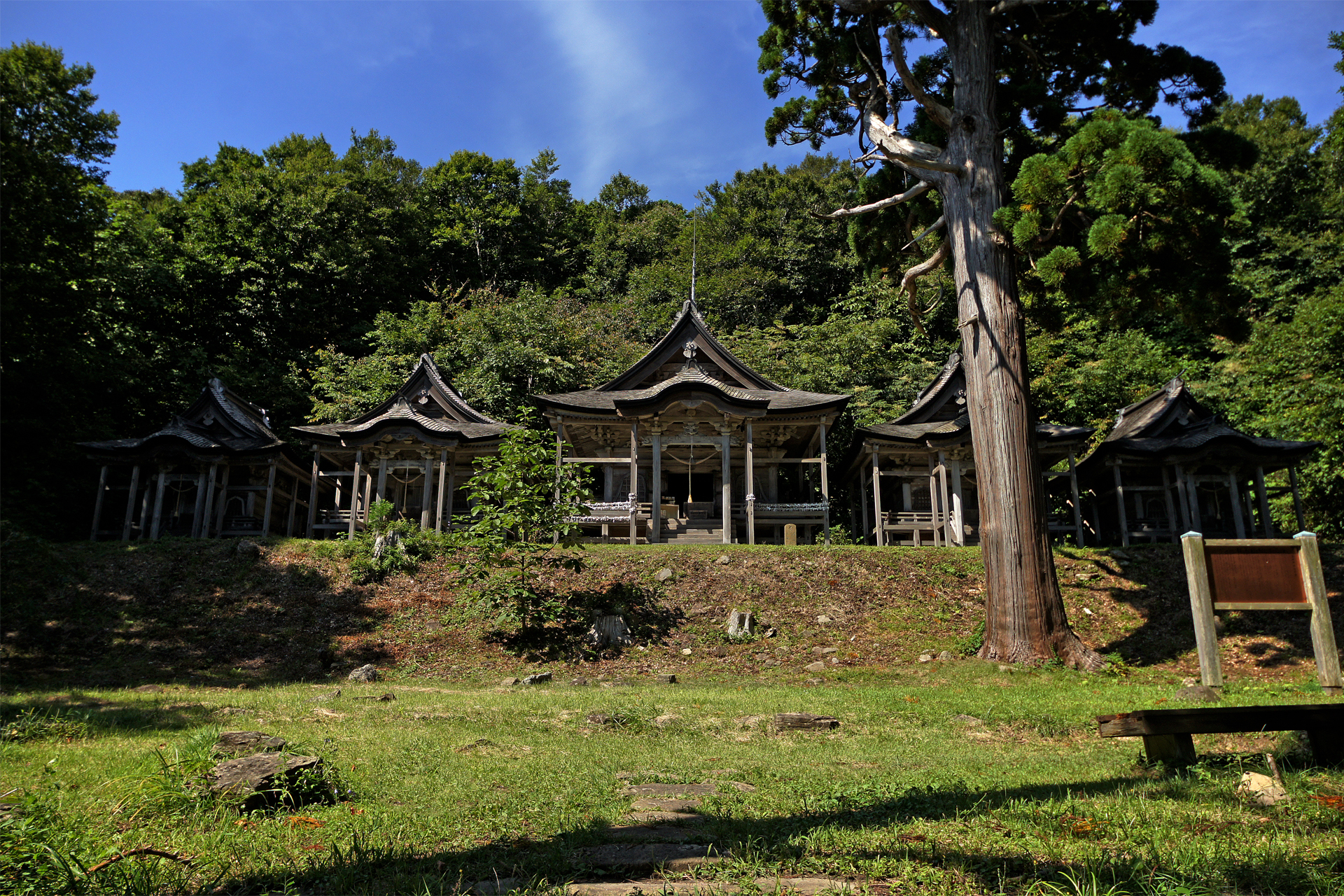赤神神社　五社堂の写真