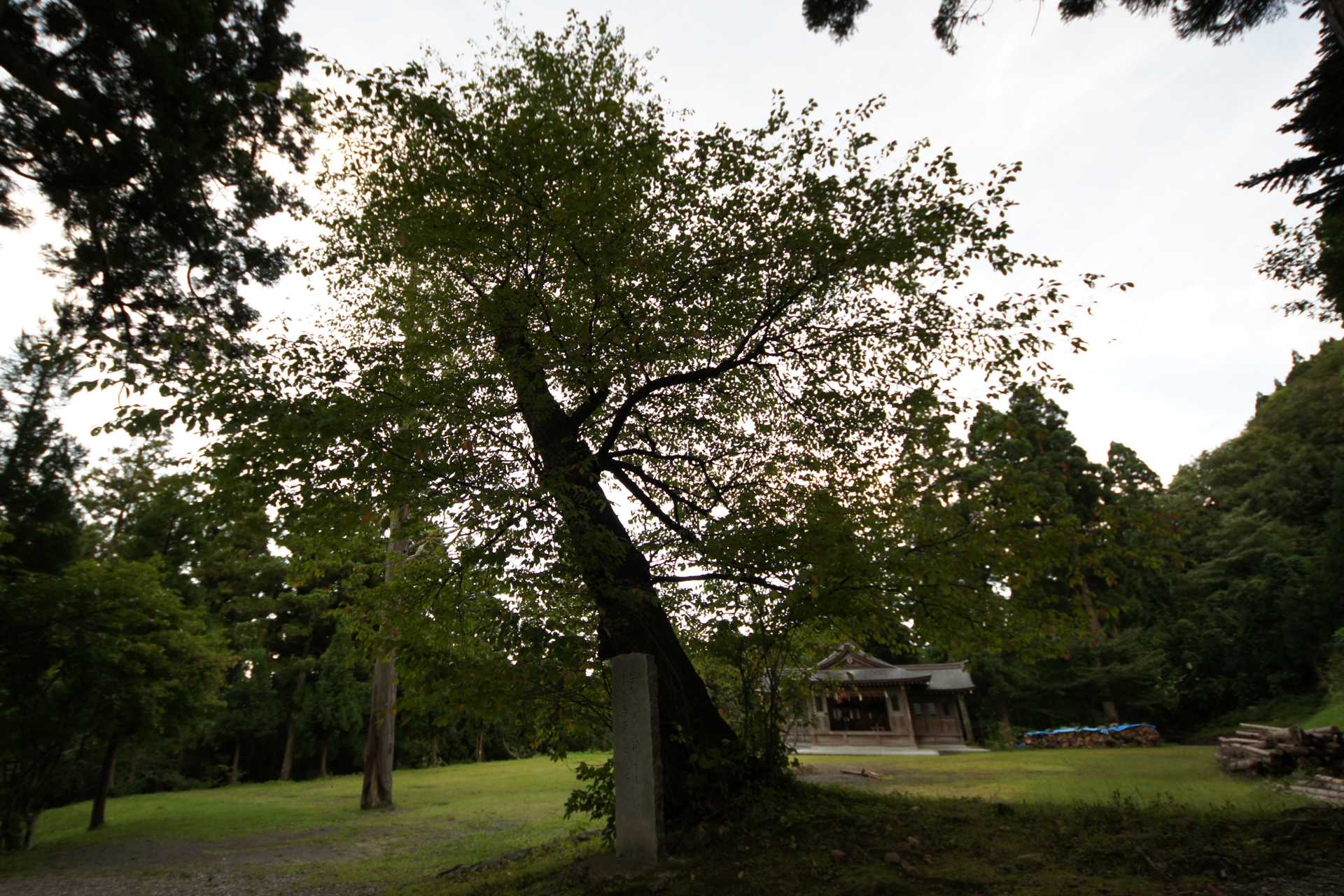 真山神社の写真