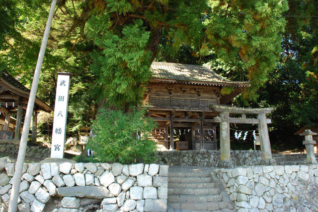 武田八幡宮の写真