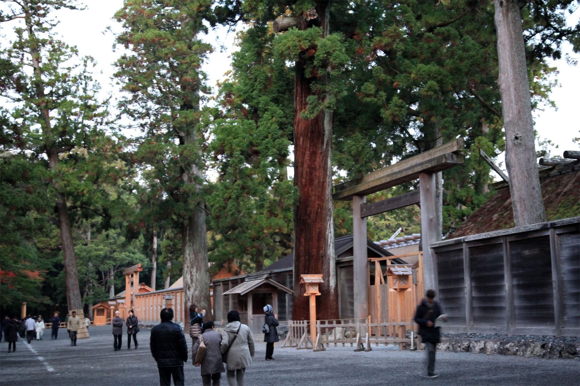 伊勢神宮・豊受大神宮 外宮の写真