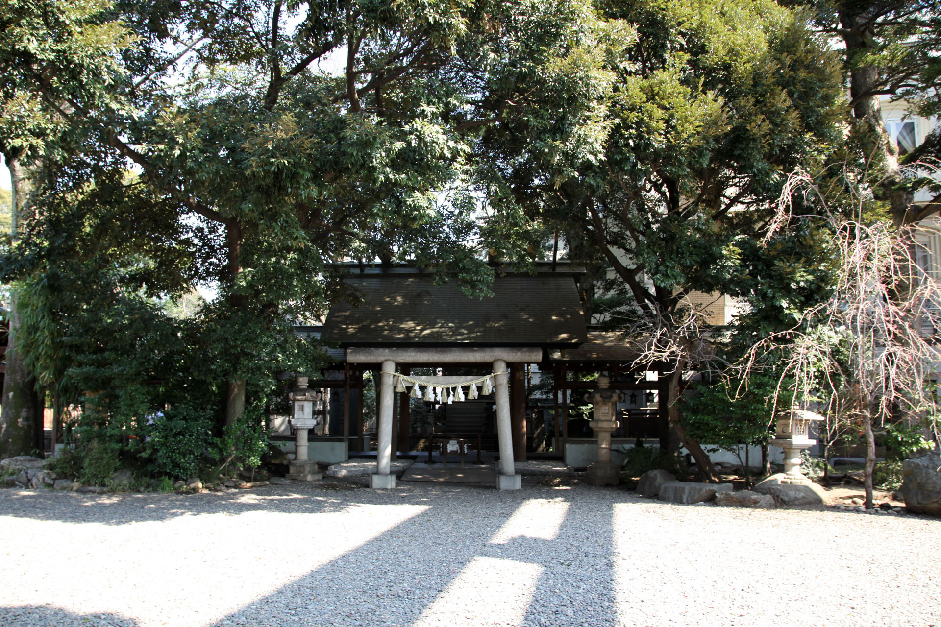 氷川神社 (川越市)の写真