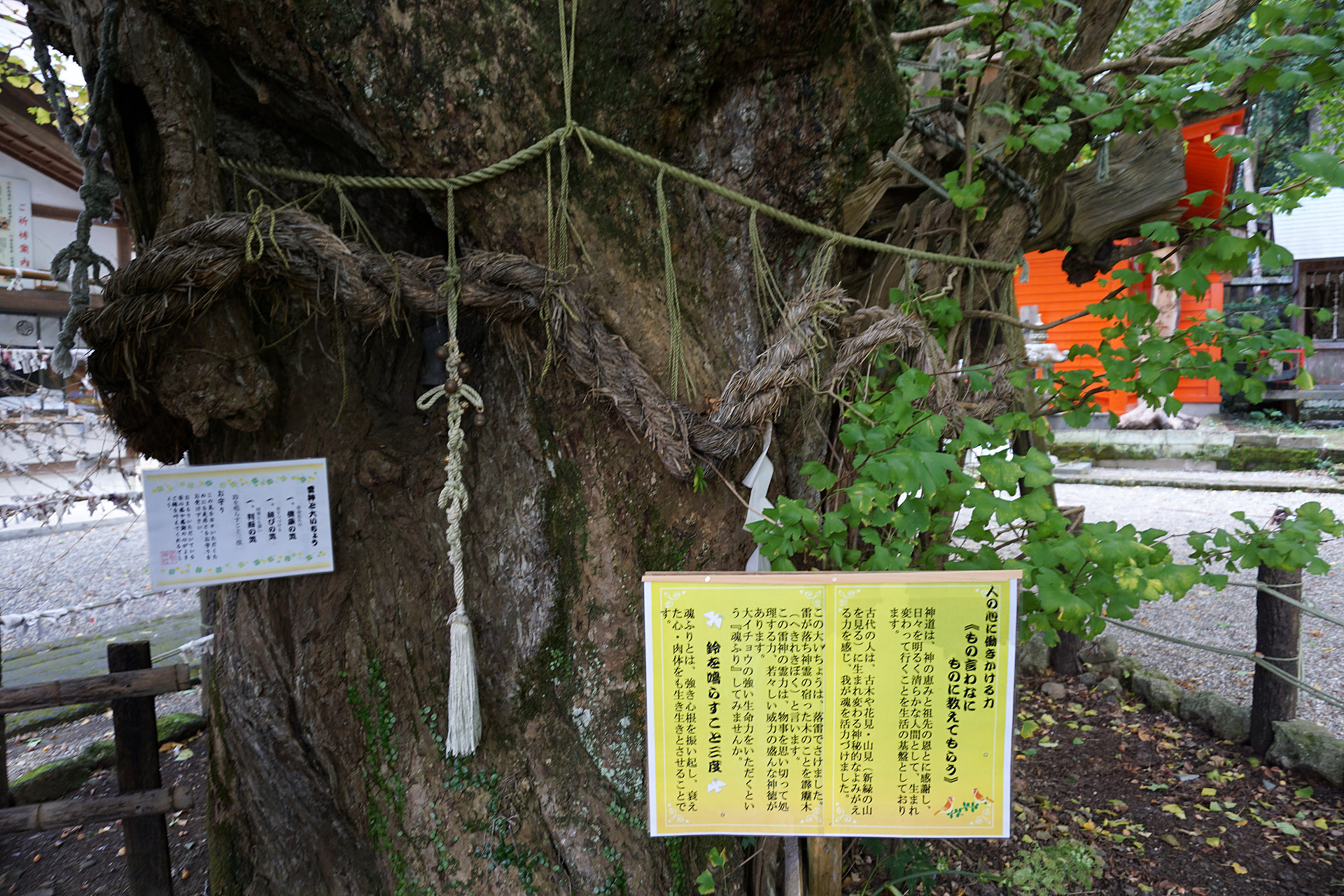 伊那下神社の写真