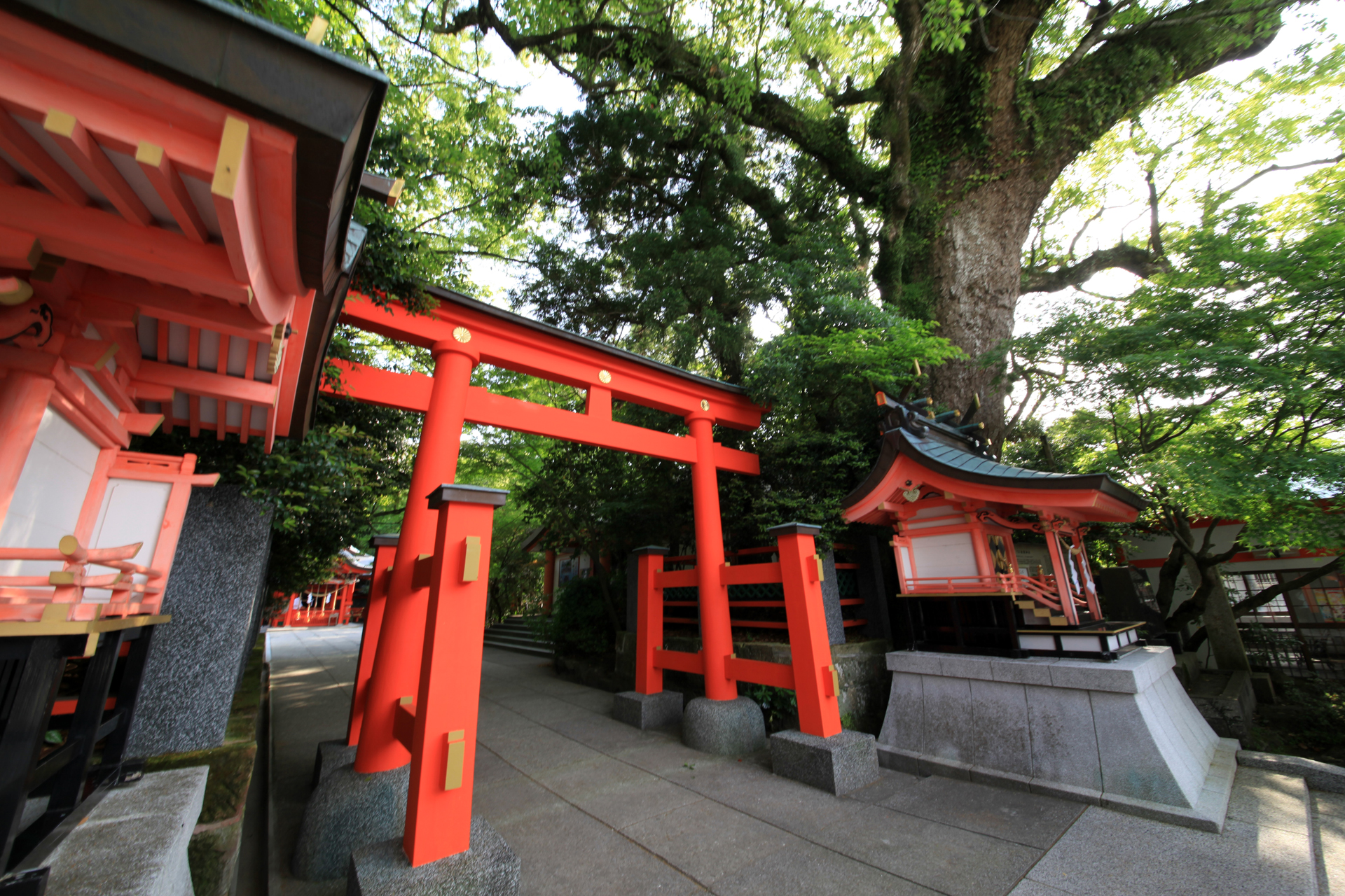 枚聞神社の写真