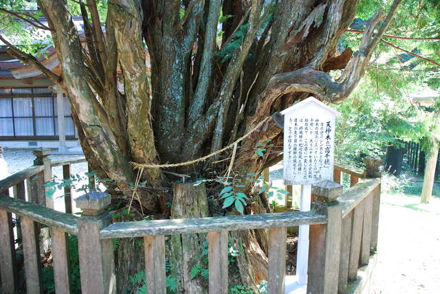 幣立神宮、幣立神社の写真