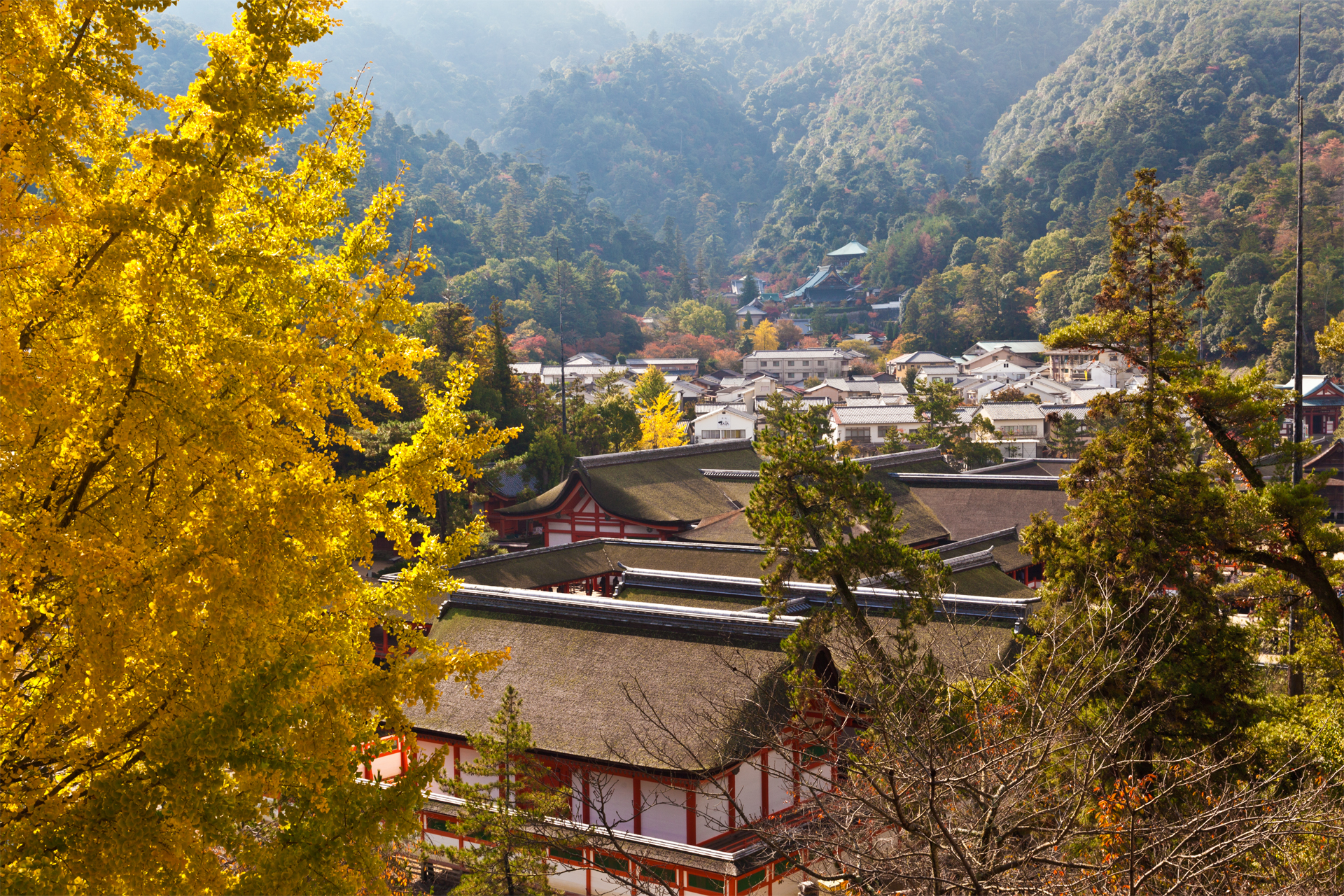 厳島神社の写真
