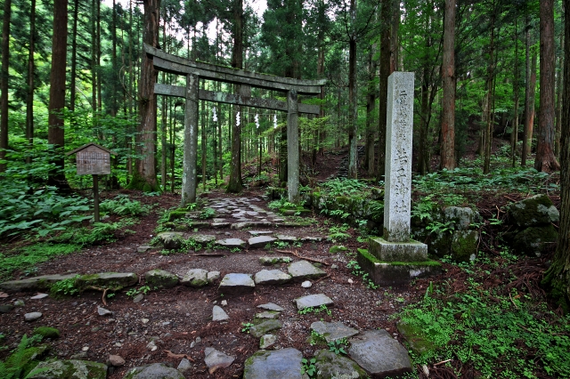 若子神社の写真