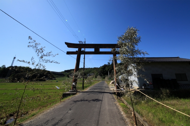 佐香神社の写真