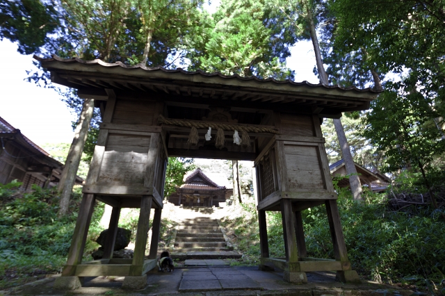 朝山神社の写真