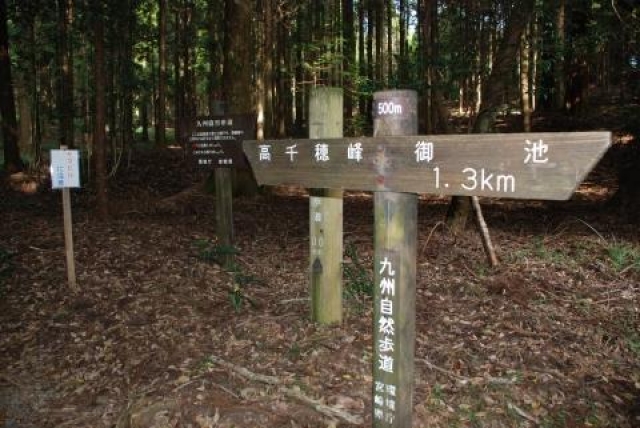霧島東神社の写真